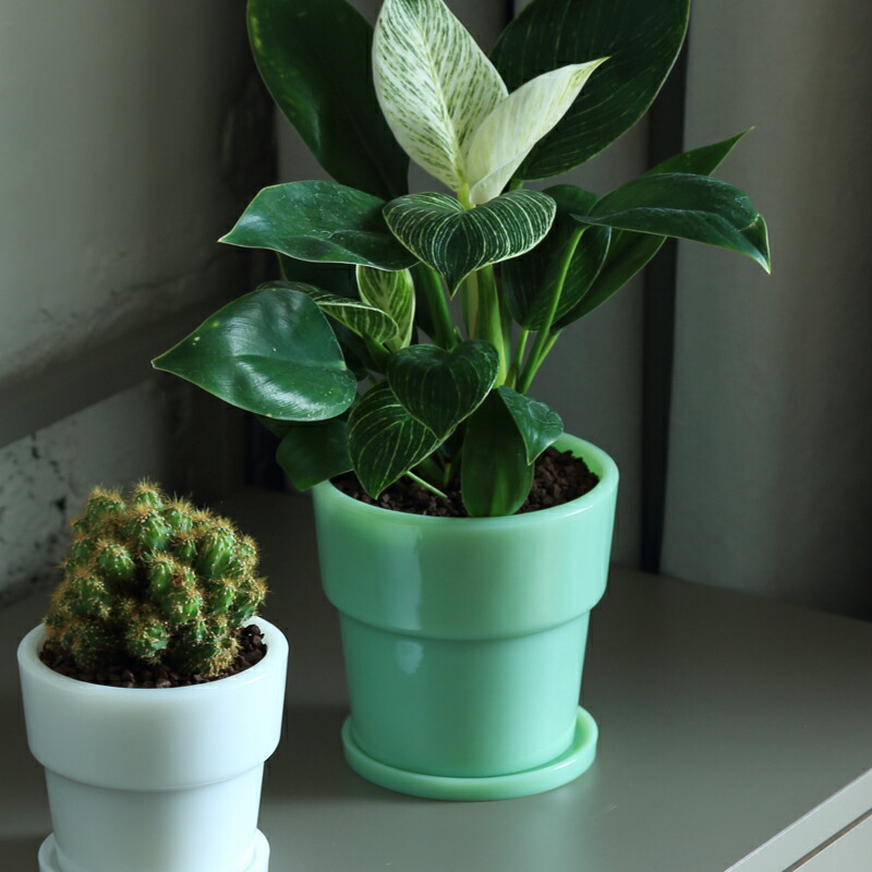 楽天市場】植木鉢 《 Milk Glass Planter Pot4 》 ideaco ホワイト