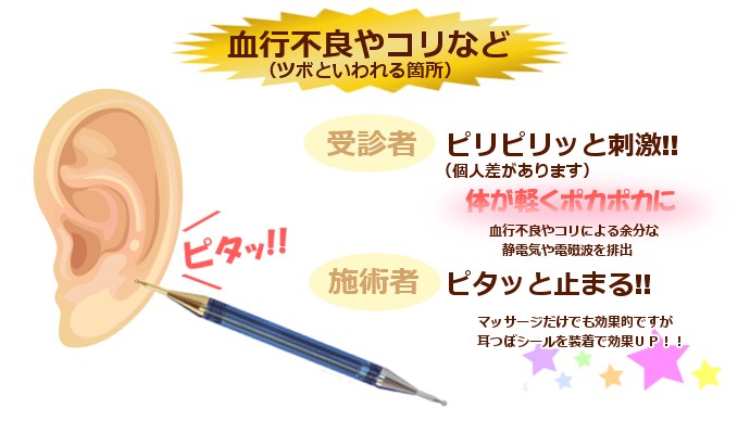 楽天市場】送料無料 耳つぼの探索ならお任せ DAスティック〜耳つぼ