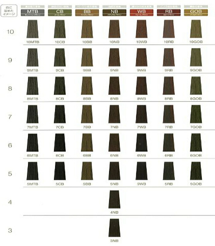 楽天市場】フィヨーレ BLカラー ラディーチェ 8CB 120g クールブラウン