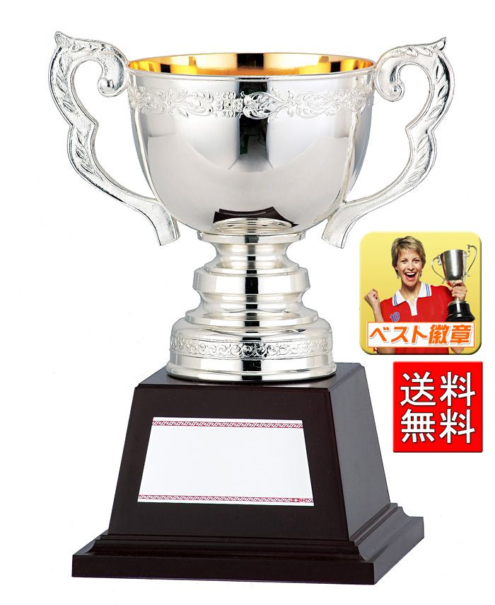 楽天市場】優勝カップ 送料無料 文字無料 高さ255mm【2万円 】お得