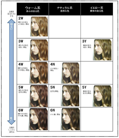 楽天市場】国内正規品 Shiseido 資生堂 ベネフィーク BENEFIQUE