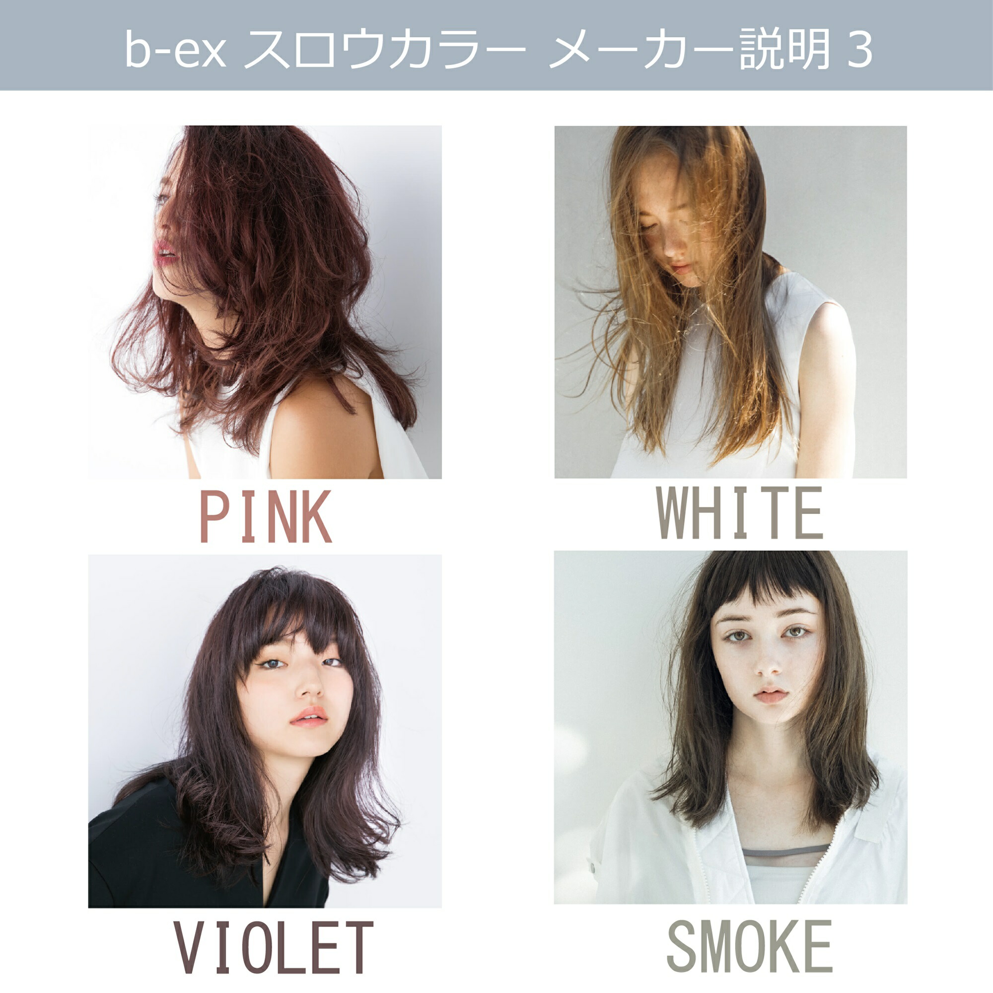 楽天市場】スロウカラー [ バイオレット V/10 ] 100g パープル