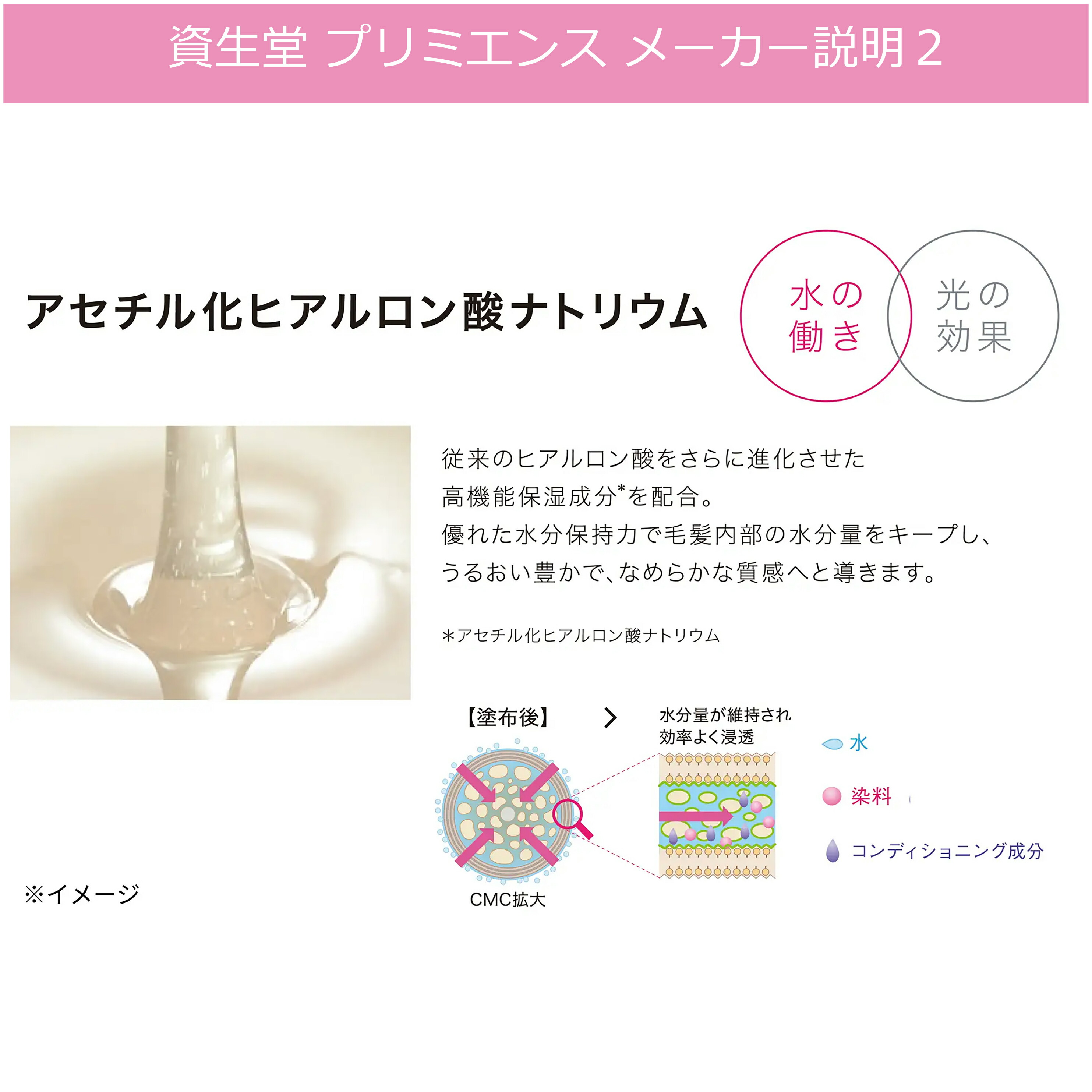 楽天市場】白髪染め 資生堂 プリミエンス エンリッチライン 80g 4本