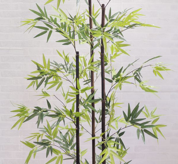 楽天市場】黒竹 180cm3本立 (人工竹 くろちく 人気 造花 インテリア