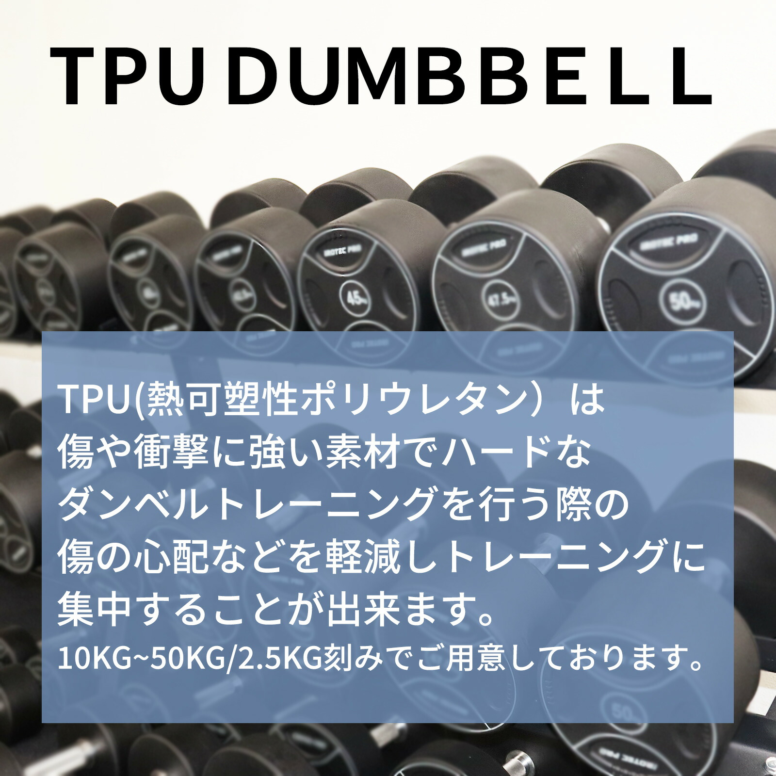 楽天市場】TPUジムダンベル ダンベル ラバーダンベル単品 10kg 〜50kg