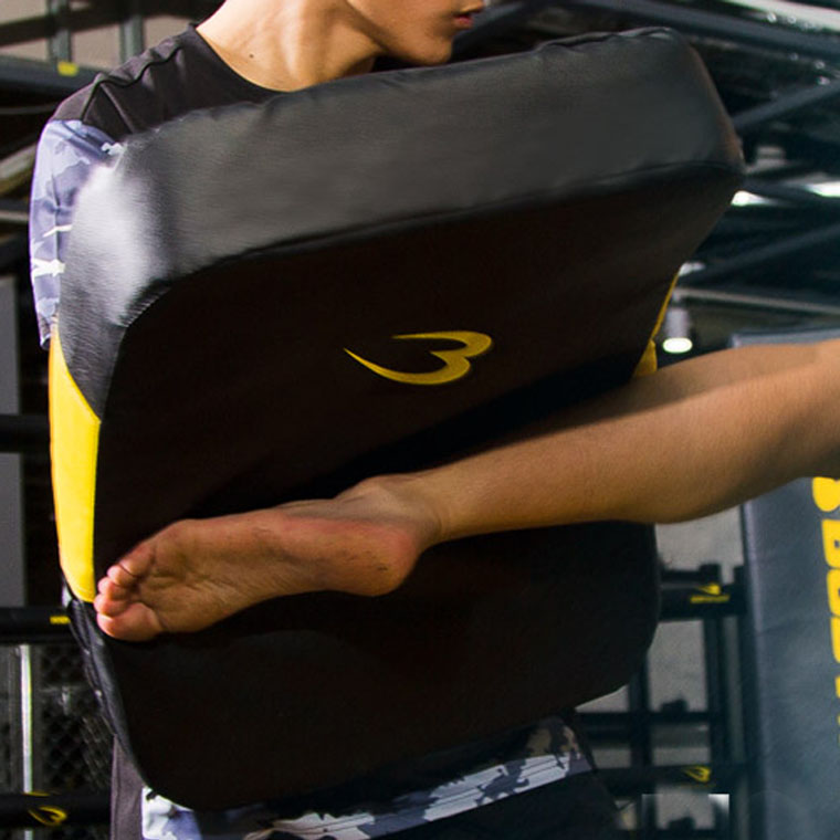 楽天市場】ビッグミットDX BODYMAKER ボディメーカー キックミット