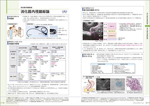 楽天ブックス: 病気がみえる（vol.1） - 消化器 - 医療情報科学研究所