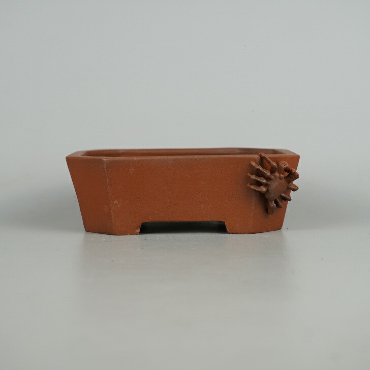 楽天市場】盆栽鉢 常滑 柴勝 小型 長辺 約 14.3cm 長方鉢 隅切 蟹付