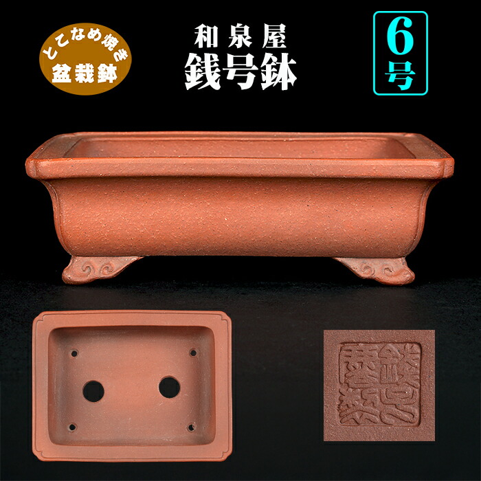 楽天市場】盆栽鉢 銭号外縁雲足長方鉢 植木鉢 常滑 泥鉢 6号 朱泥 小品