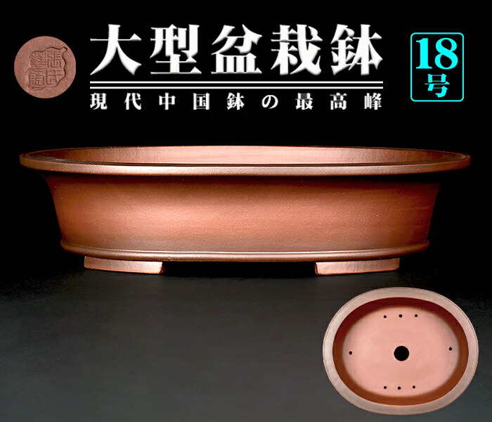 楽天市場】盆栽鉢 大型の通販