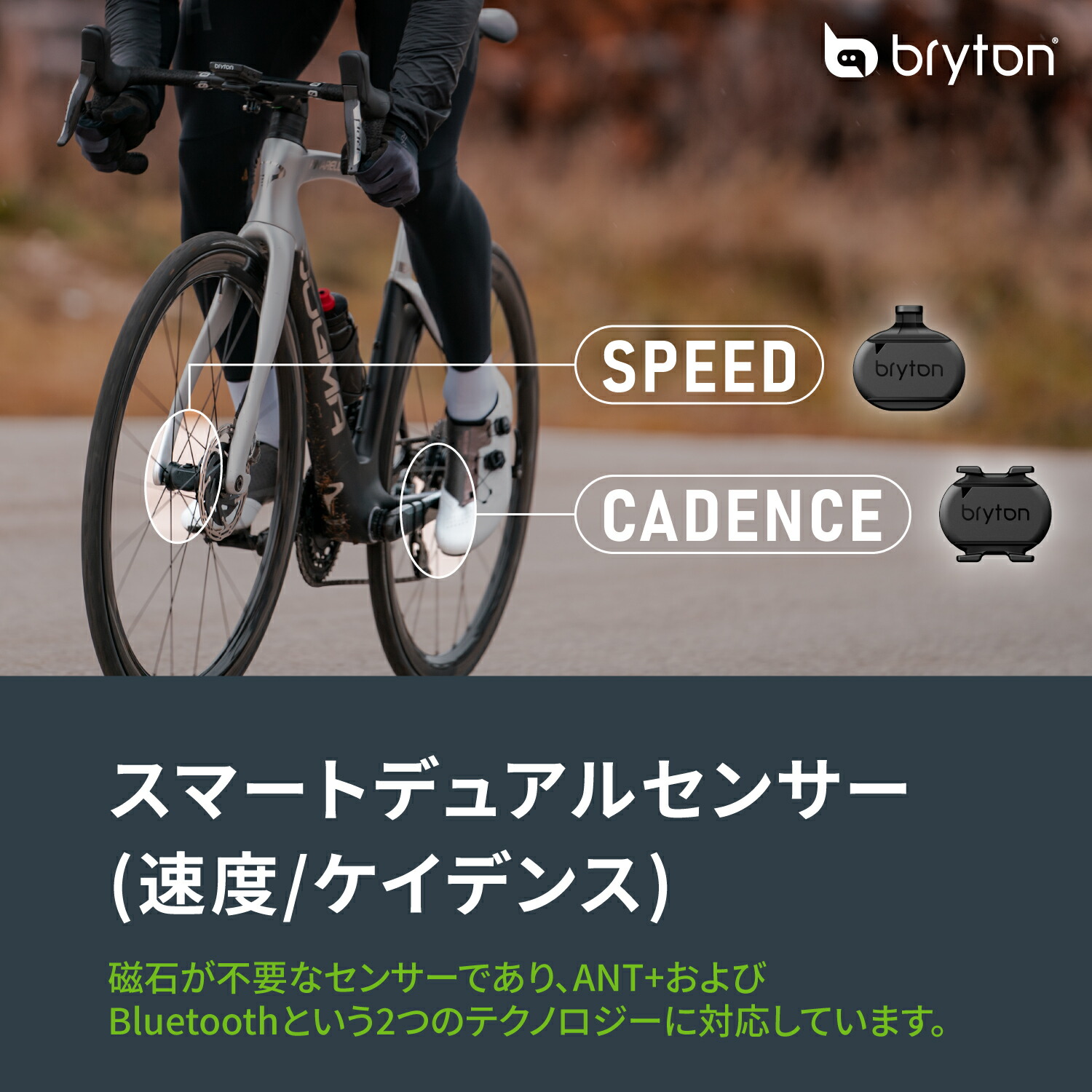 楽天市場】【楽天1位】ケイデンスセンサー スピードセンサー Bryton