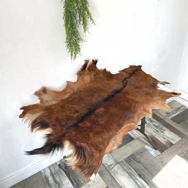 楽天市場】ゴートレザー 毛付き 山羊革 1点物 1枚革 ハラコ ブラウン系