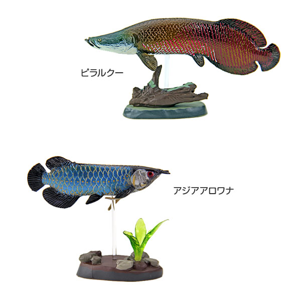楽天市場】動物 リアル フィギュア 立体図鑑フォッシルフィッシュ
