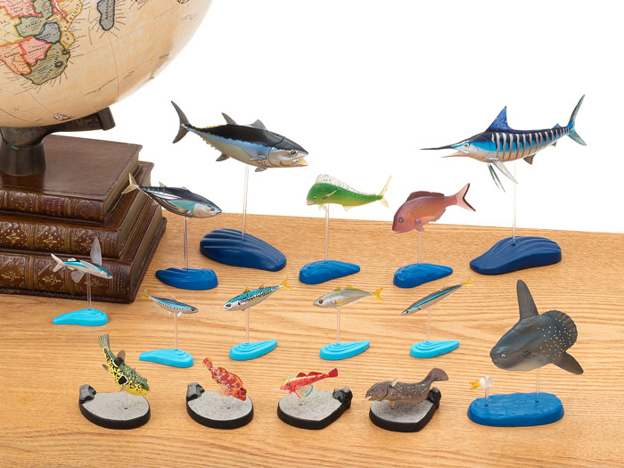 楽天市場】サカナ 海水魚 リアル フィギュア 立体図鑑 ソルト