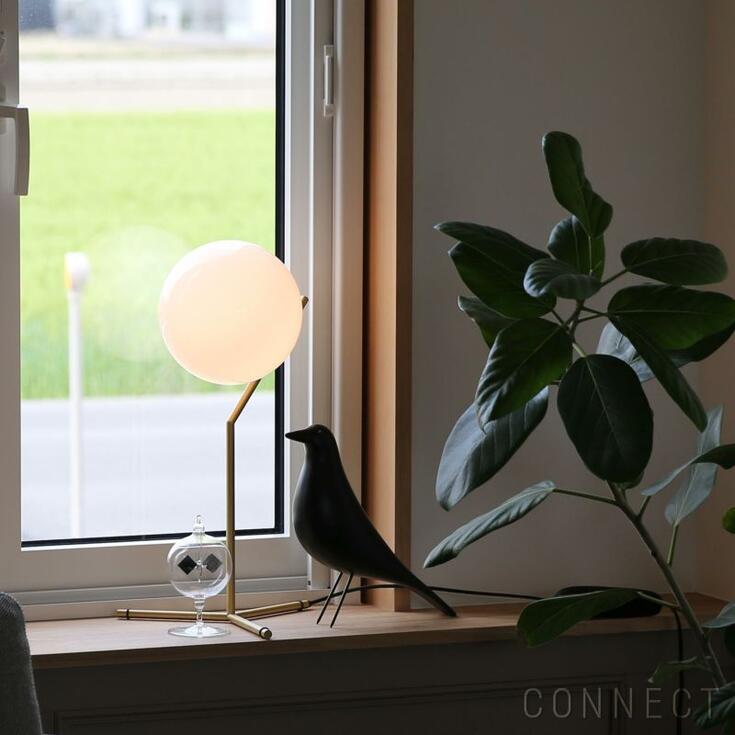 楽天市場】【正規販売店】【送料無料】FLOS（フロス） 照明/IC LIGHTS