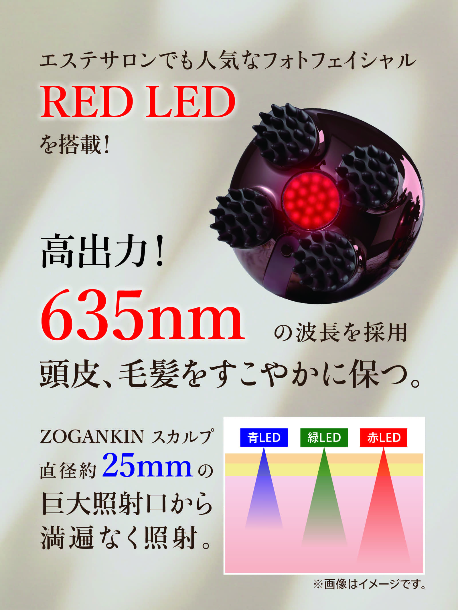 楽天市場】【クルールラボ公式】ZOGANKIN SCALP 限定カラー