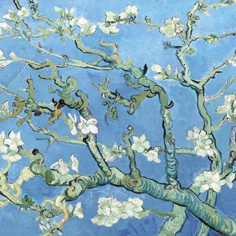 楽天市場】額絵 ゴッホ 【花咲くアーモンドの木の枝】 G4-BM054