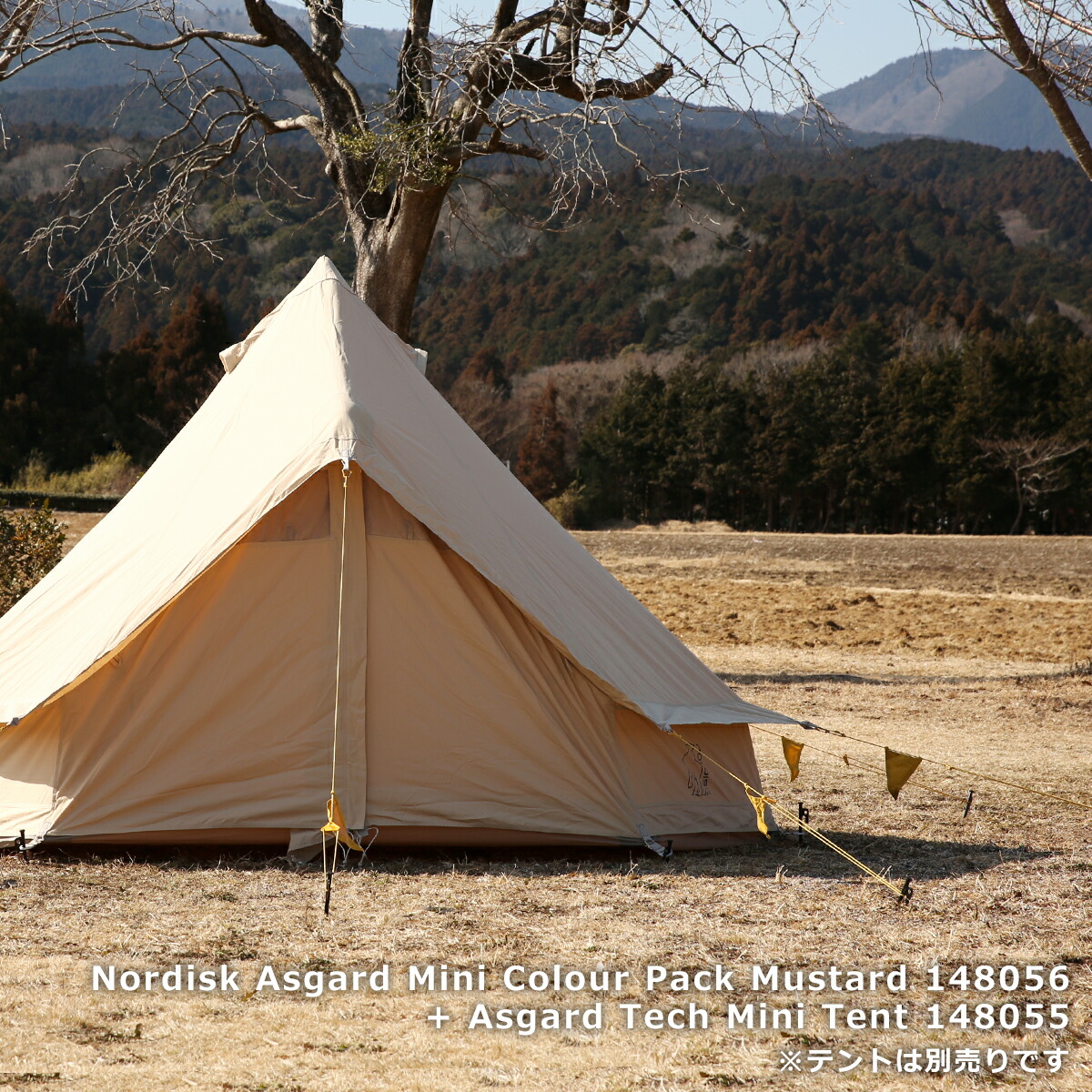 楽天市場】ノルディスク Nordisk アスガルドミニ カラーパック Asgard