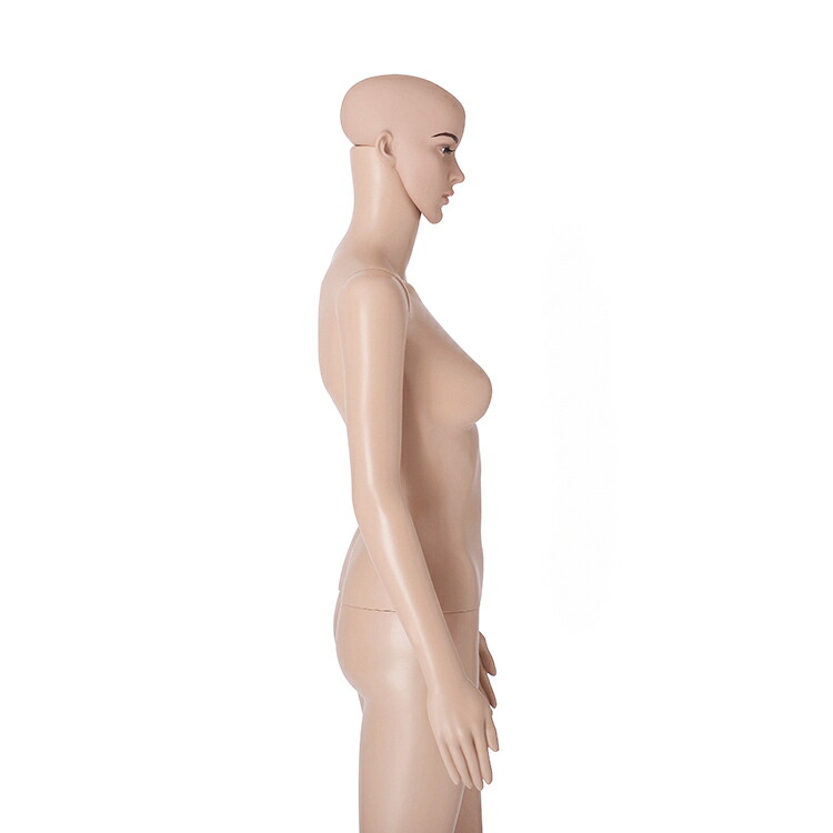 楽天市場】全身マネキン レディース 176cm 9号サイズB83×W62×H85cm