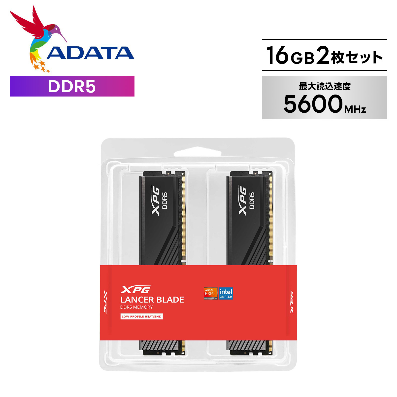 楽天市場】32gb ddr4-3200（メーカーADATA）の通販