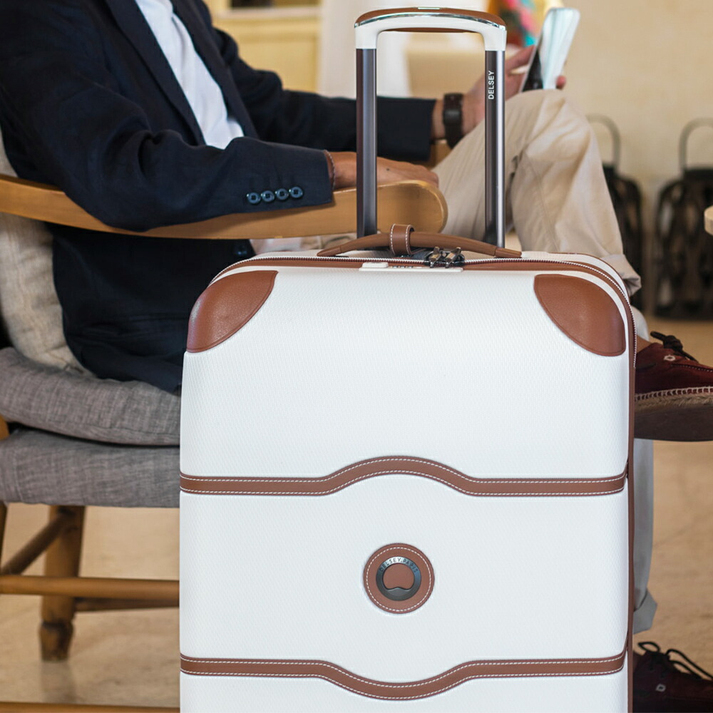 楽天市場】【デルセー公式】スーツケース Lサイズ 大型 110L 軽量