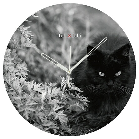 楽天市場】A+ (アクセントプラス) Toki×Tabi 大型掛け時計 60cm 猫の島