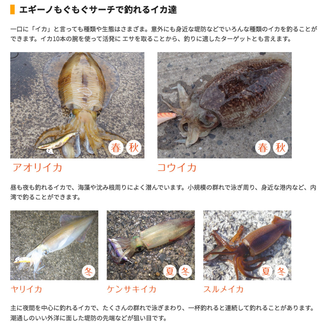 楽天市場】ヤマリア YAMASHITA ヤマシタ エギーノもぐもぐサーチ 3.5号