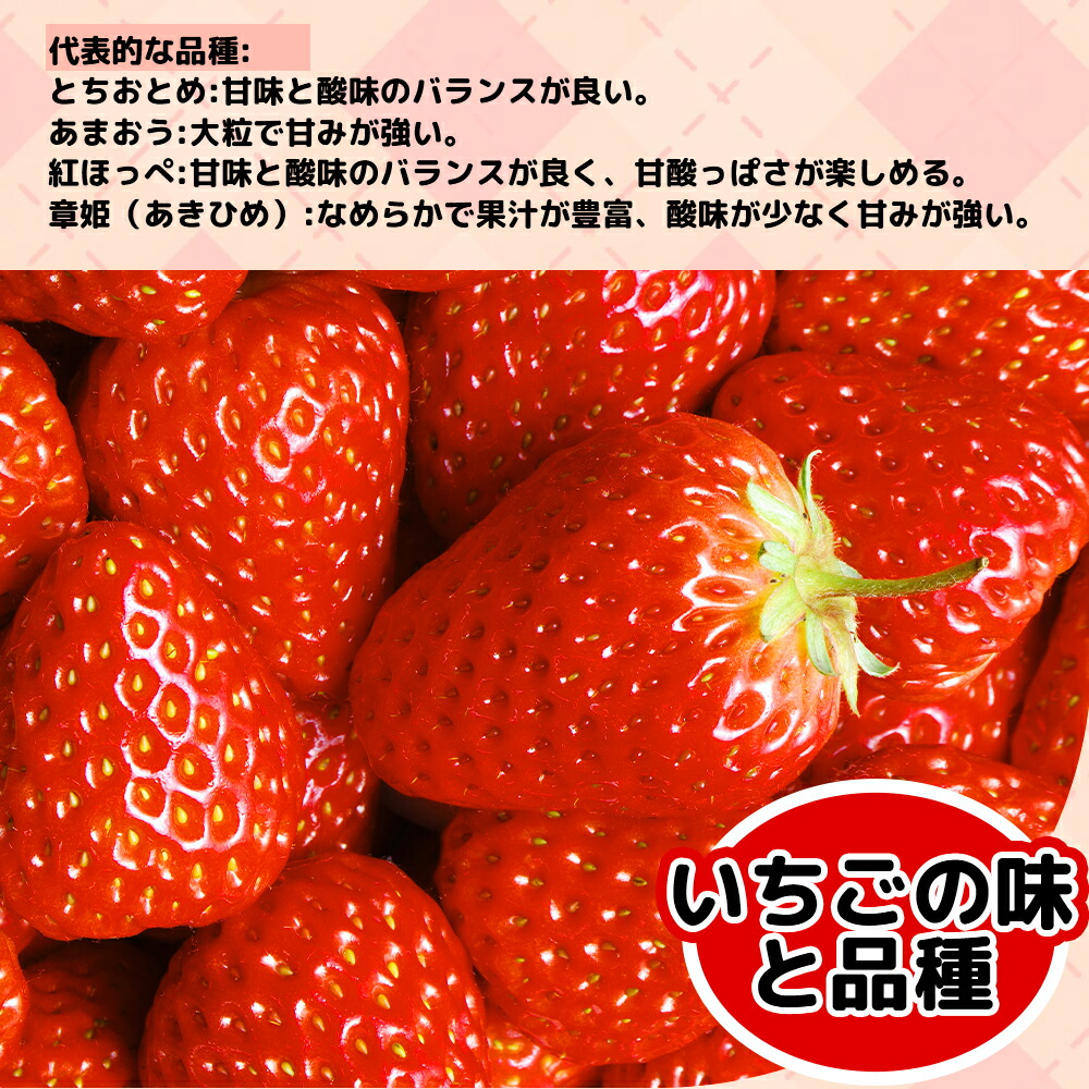 楽天市場】【産地直送翌日配達】いちご 秀品 厳選 とちおとめ スカイ