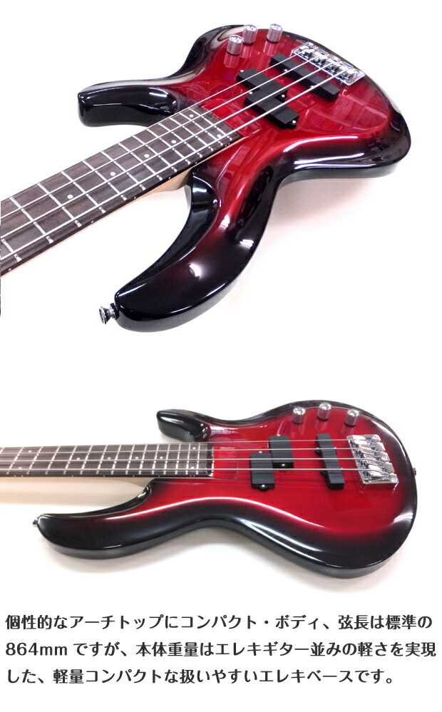 楽天市場】ベース 初心者 入門 Aria Pro II アリア プロ IGB-STD 13点