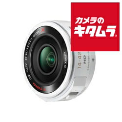 lumix g x vario pz 14-42mm」の人気商品一覧 | 安い商品を通販サイト