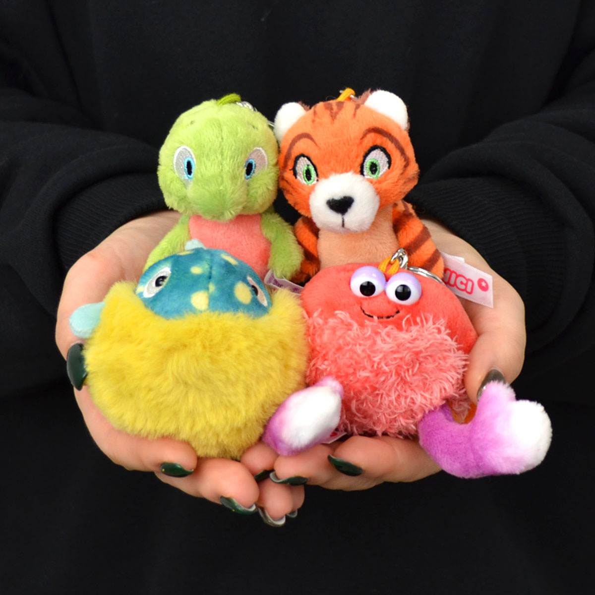 楽天市場】【日本正規代理店】NICI(ニキ) サンセットドリーム2024 フグ