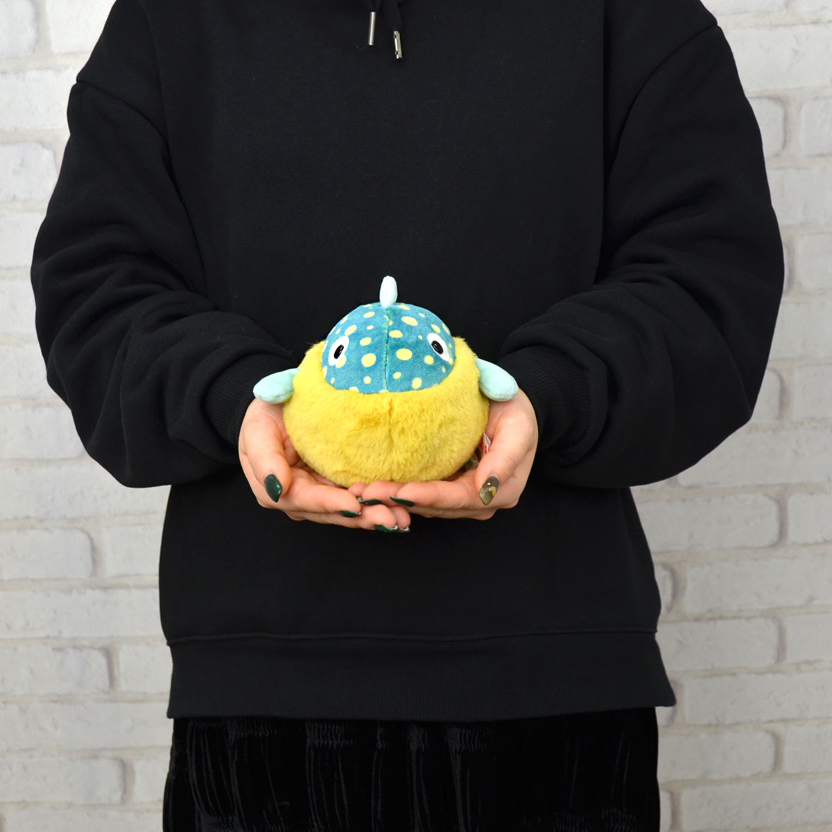 楽天市場】【日本正規代理店】NICI(ニキ)サンセットドリーム2024 フグ