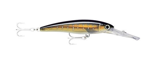 xrmag-hdsfu.jpg?fitin=720:720