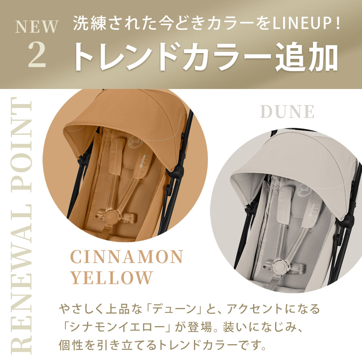 楽天市場】【2026最新モデル】 サイベックス リベル 2026 ＋ レイン