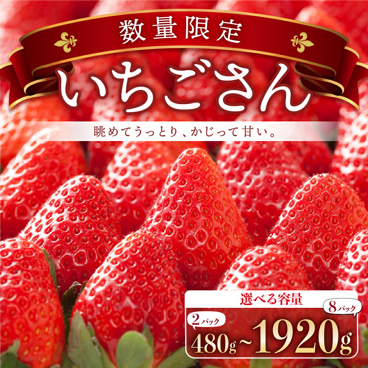 楽天市場】【ふるさと納税】【選べる容量・回数】佐賀県産いちご