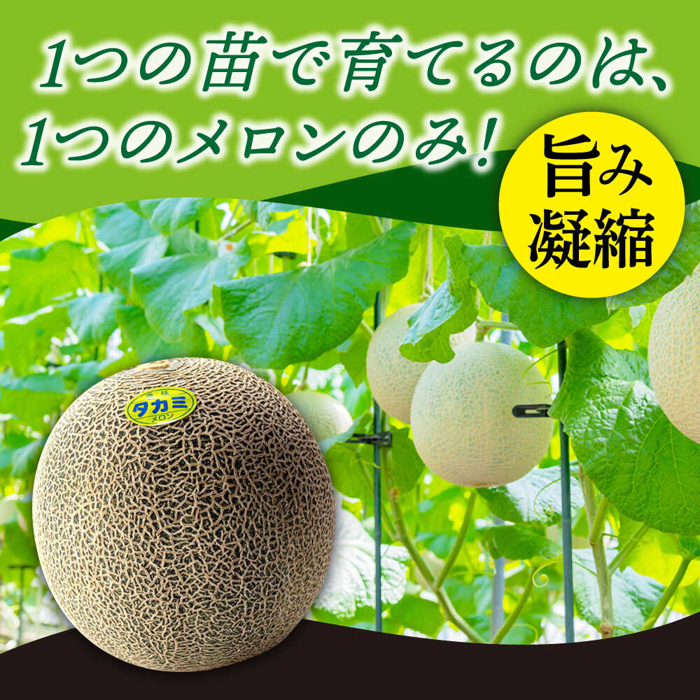 楽天市場】【ふるさと納税】【先行予約】【2026年6月上旬-7月上旬 順次
