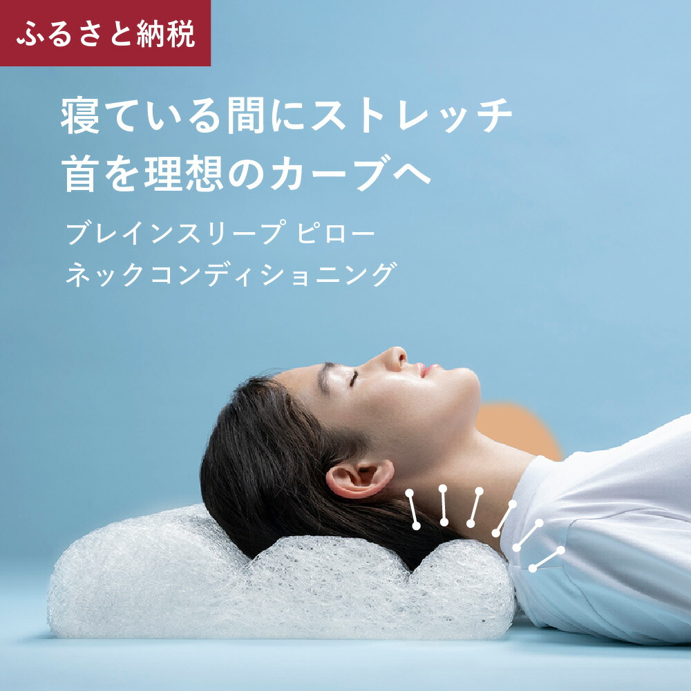 楽天市場】【ふるさと納税】ブレインスリープ ピロー (9グラデーション