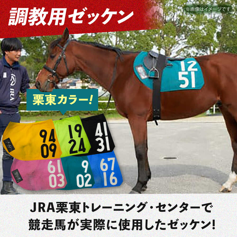 楽天市場】【ふるさと納税】【JRA/日本中央競馬会】無くなり次第終了
