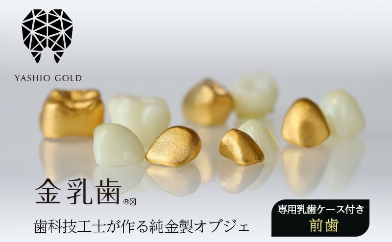 楽天市場】【ふるさと納税】金乳歯（前歯）抜けた乳歯から歯科技工士が