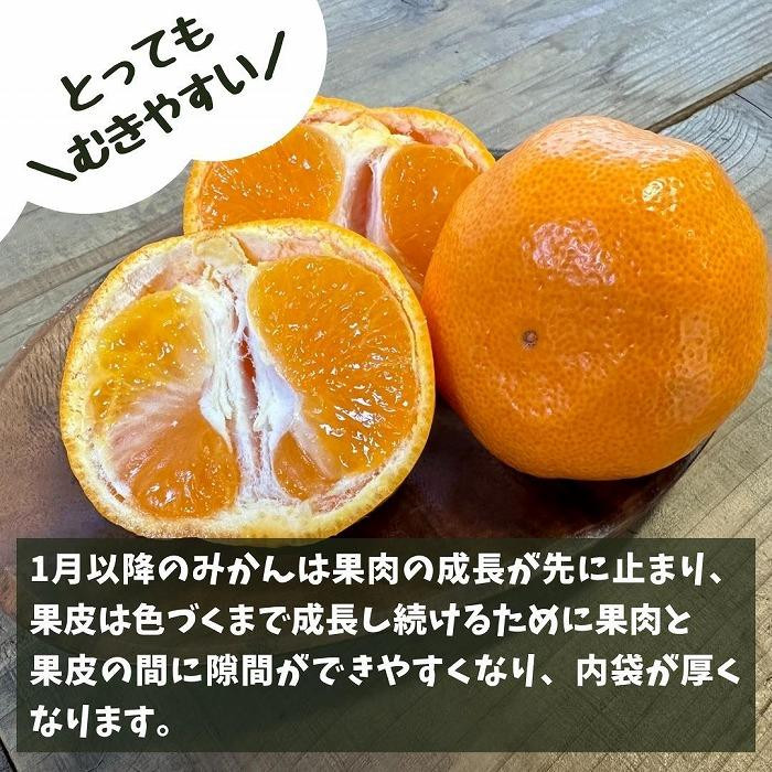 楽天市場】【ふるさと納税】【選べる種類・発送・内容量】みかん 訳