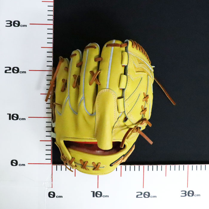 楽天市場】野球 ミズノ 硬式グローブ ミズノプロ オーダーグラブ 投手
