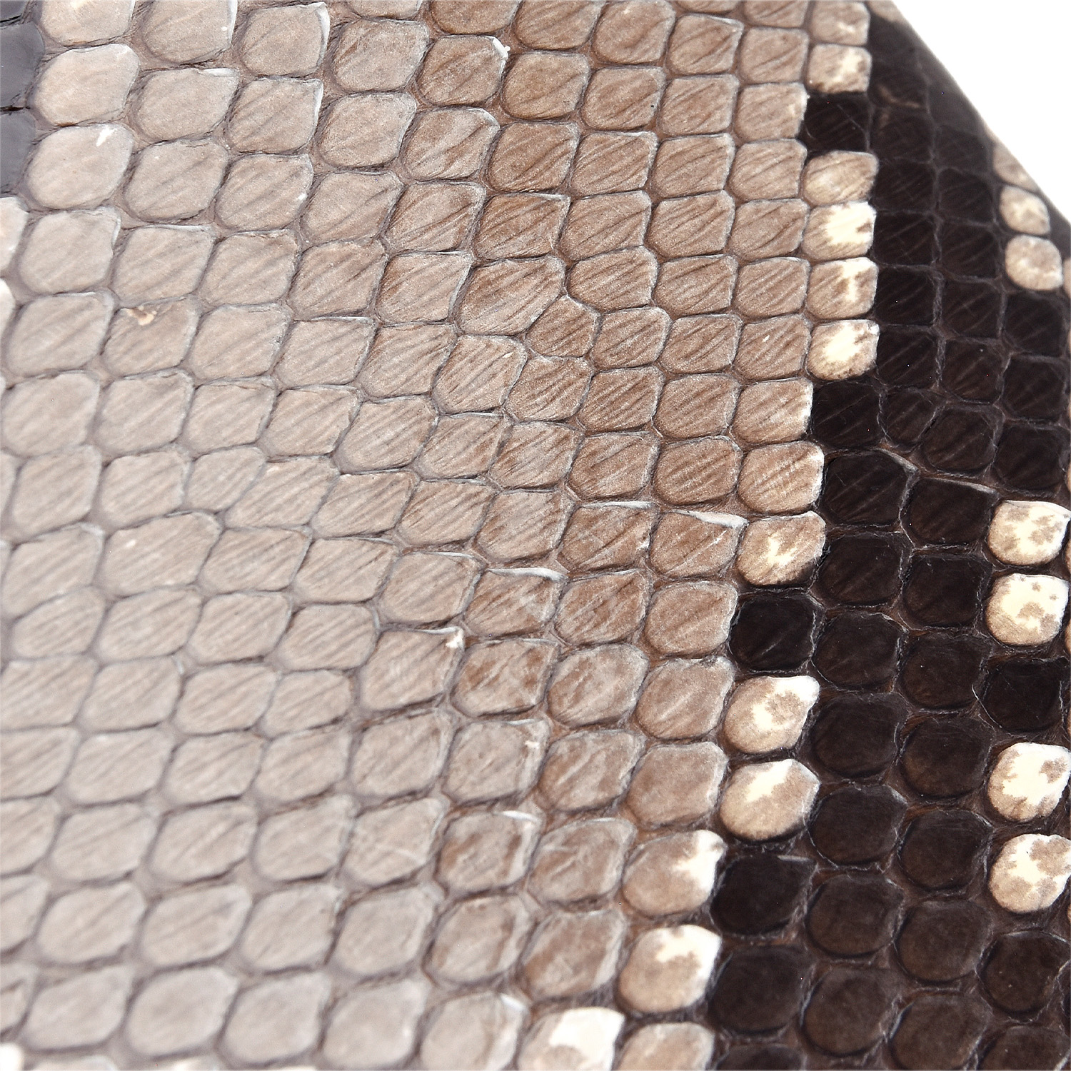 楽天市場】【FUNNY公式ストア】 FUNNY ファニー ライダースウォレット