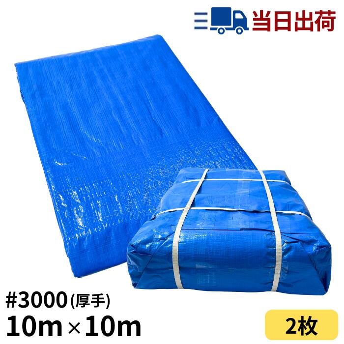 楽天市場】ブルーシート 10m×10m ＃3000 厚手 2枚入 : 建TOOL 楽天市場店
