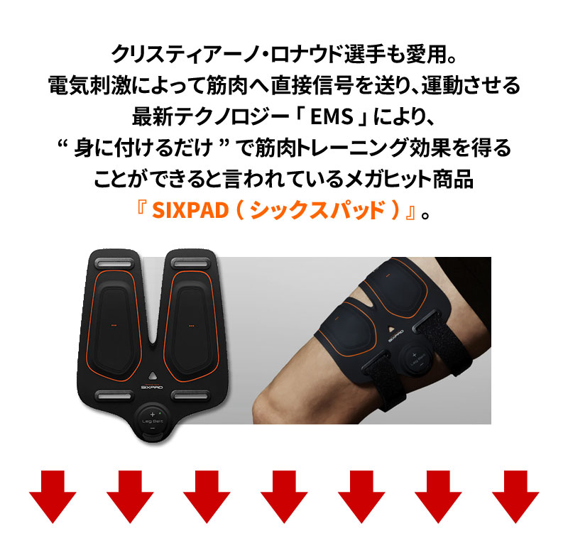 楽天市場】【1SET 2枚入り】 シックスパッド レッグベルト にも対応