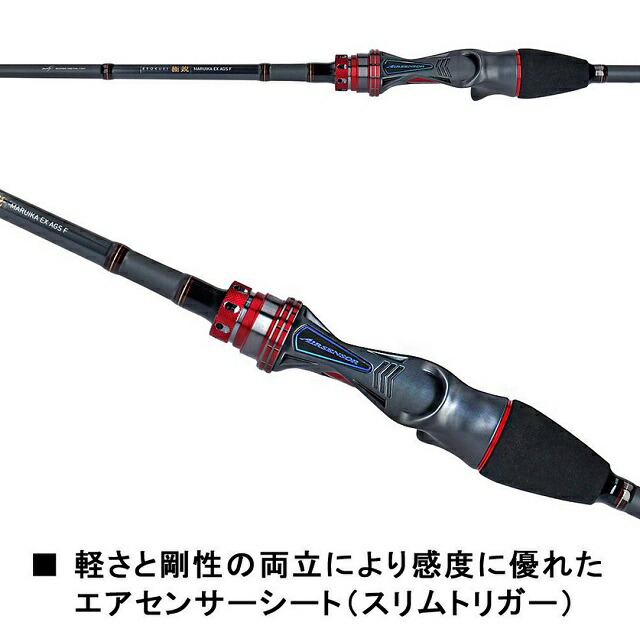 楽天市場】ダイワ（DAIWA） 極鋭マルイカ EX AGS F : つり具の