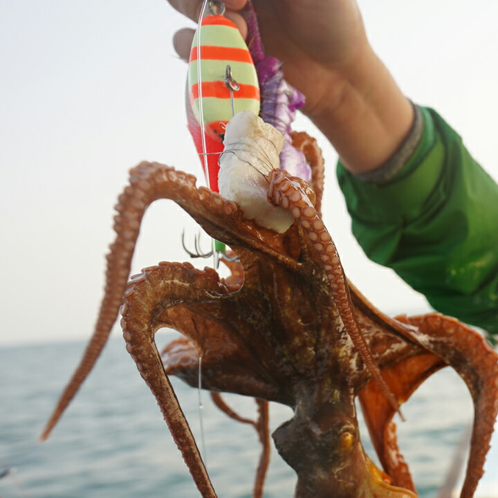 楽天市場】ぐるぐるさんま フィッシングマックスオリジナル クール便