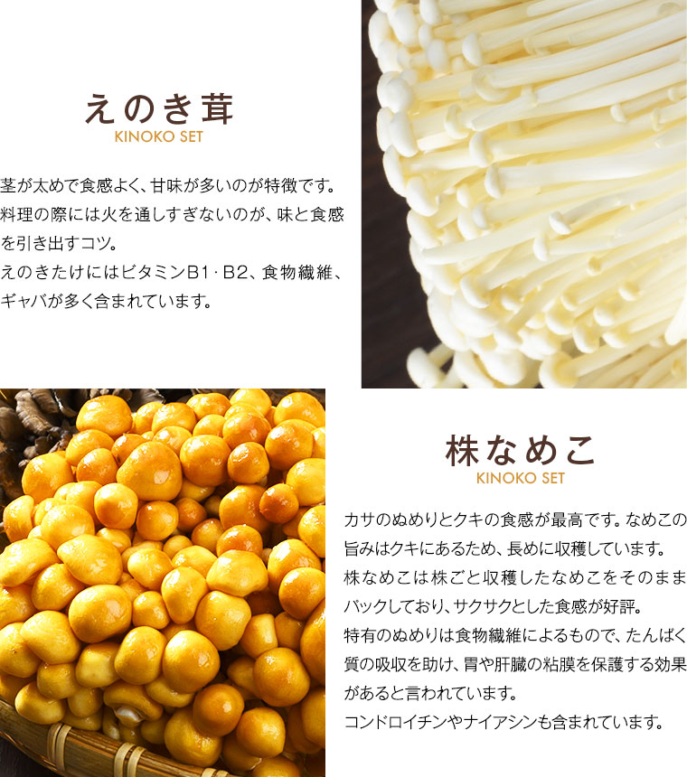 楽天市場】きのこセット【北海道産きのこセット】【出荷度に毎回放射能