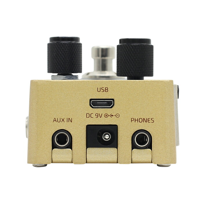 楽天市場】HOTONE OMNI AC 新品 アコースティックシミュレーター