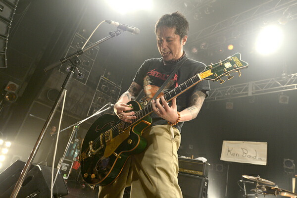 楽天市場】Alexander Pedals Sugarcube 新品 《コーラス/ビブラート