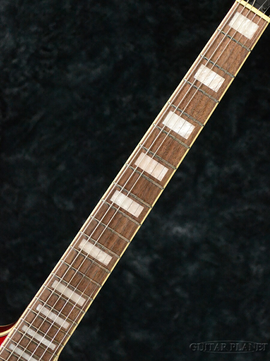 楽天市場】Ibanez AS73 TCD -Transparent Cherry Red- 新品
